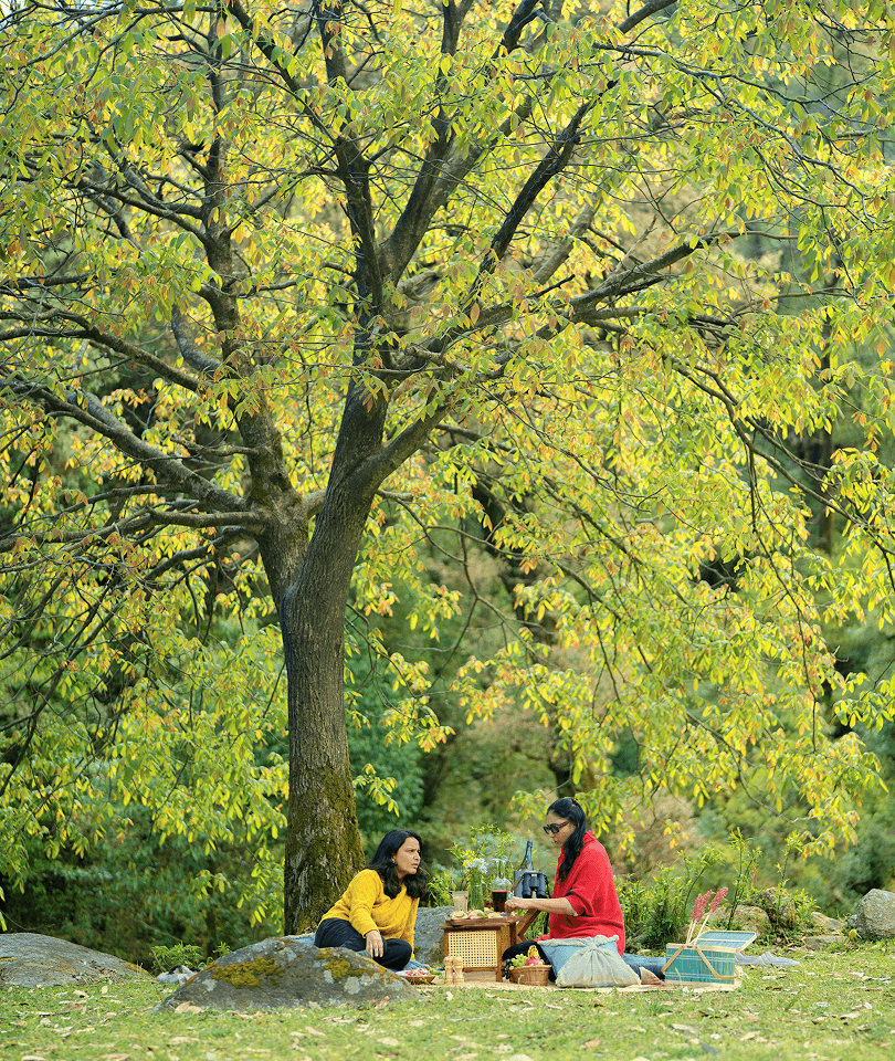 Glacier Stream Picnic